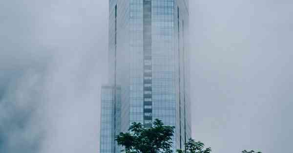 金融大数据的数据特点（金融大数据的数据特点是什么）