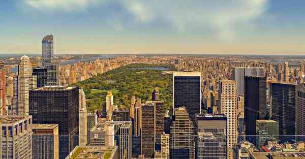 外国语单招大数据的行业文章