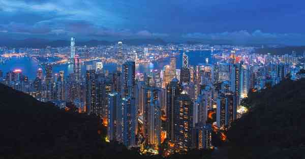 外国语单招大数据的行业文章