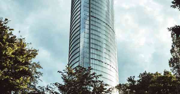 外国语单招大数据的行业文章