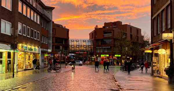 外国语单招大数据的行业文章