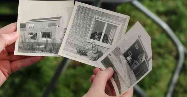 外国语单招大数据的行业文章