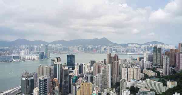 外国语单招大数据的行业文章