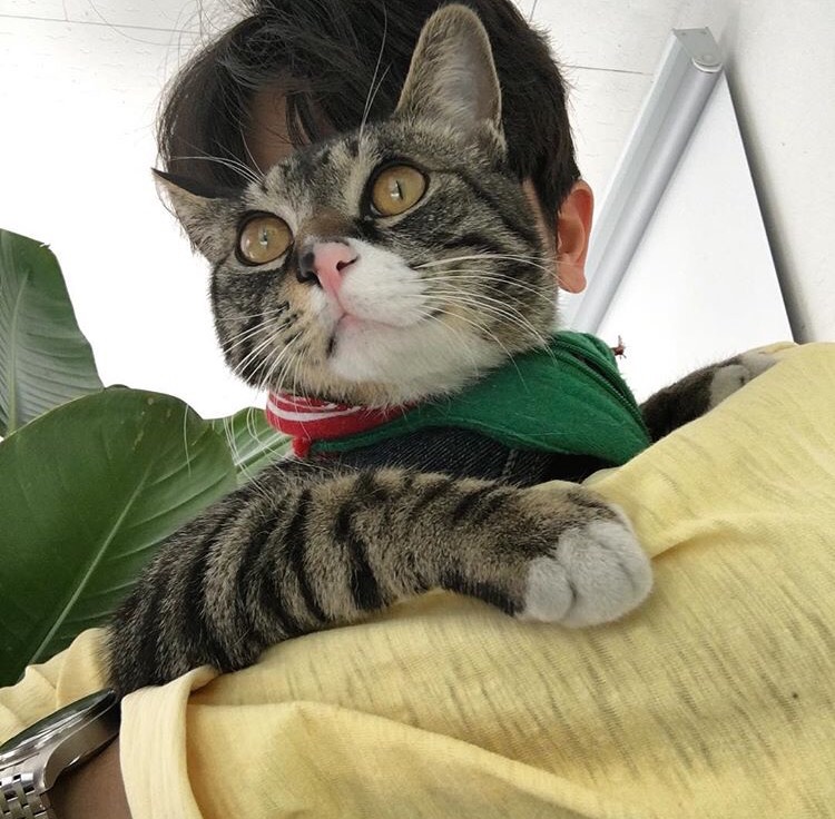 滕滢蝶璧