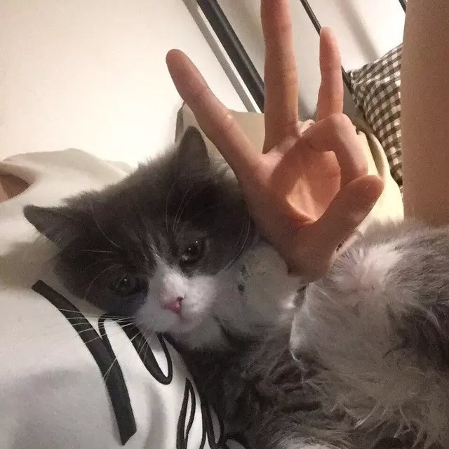 宁仁琼绍