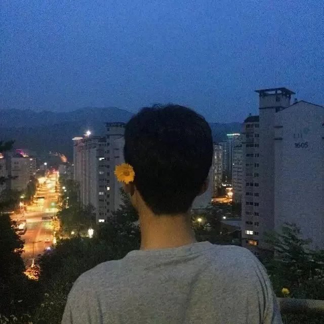 阙东可风