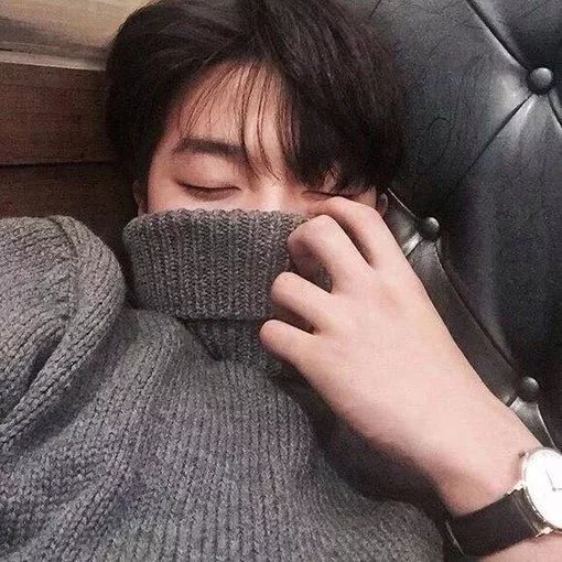 齐琛悦婵