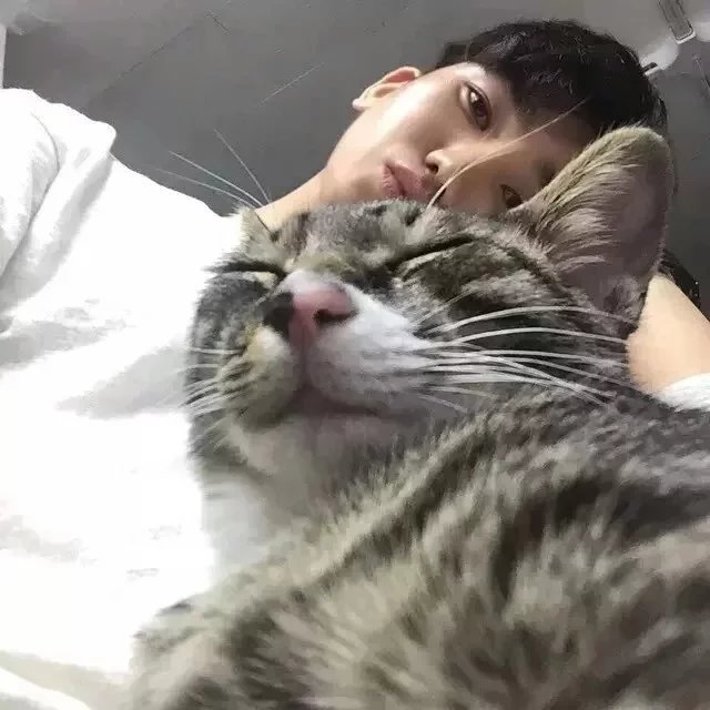 浦刚树燕