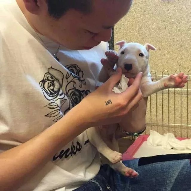 娄有翔茜